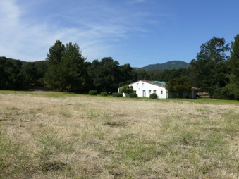 Enlarge photo 10