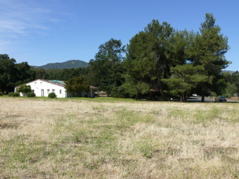Enlarge photo 11