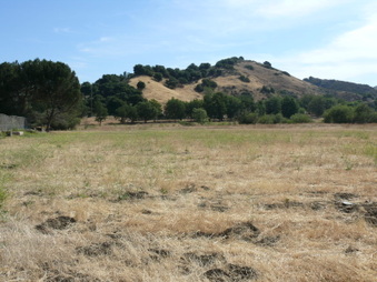 Enlarge photo 13