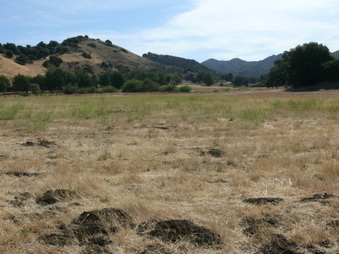 Enlarge photo 25
