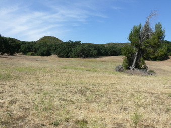 Enlarge photo 10
