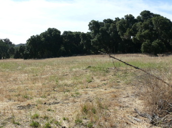 Enlarge photo 19