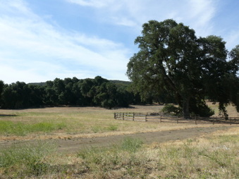 Enlarge photo 25
