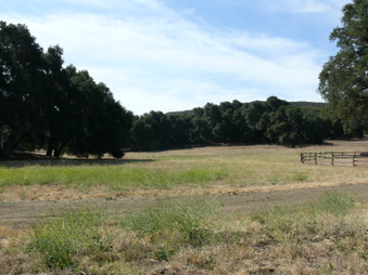 Enlarge photo 26