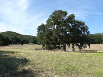 Enlarge photo 27