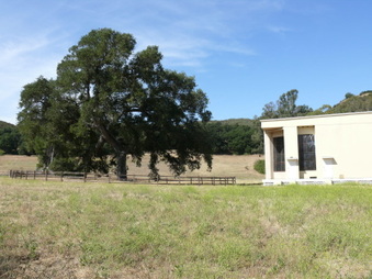 Enlarge photo 28