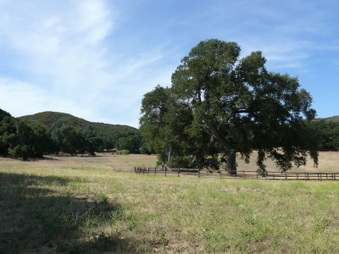 Enlarge photo 29