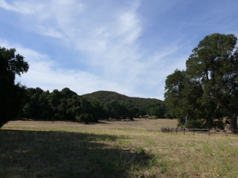 Enlarge photo 30
