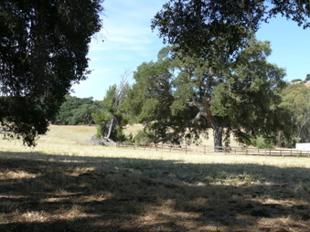Enlarge photo 31