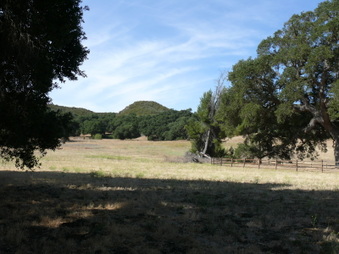 Enlarge photo 32