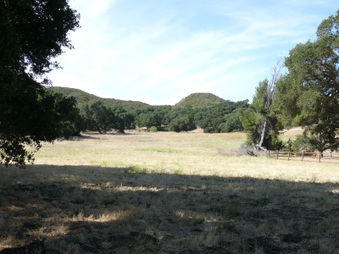 Enlarge photo 33