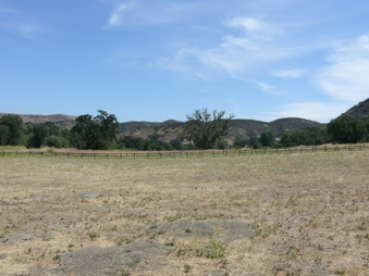 Enlarge photo 17