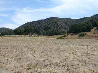 Enlarge photo 18