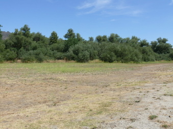 Enlarge photo 25