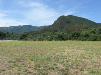 Enlarge photo 26