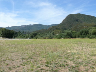 Enlarge photo 27