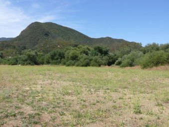 Enlarge photo 28