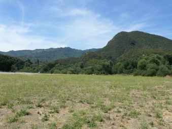 Enlarge photo 30