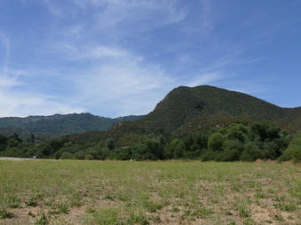 Enlarge photo 31