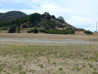 Enlarge photo 32