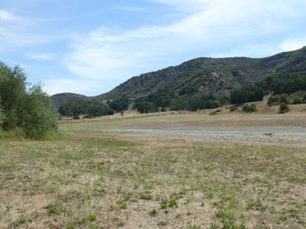 Enlarge photo 34