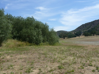 Enlarge photo 35