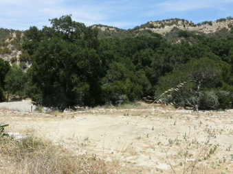 Enlarge photo 10