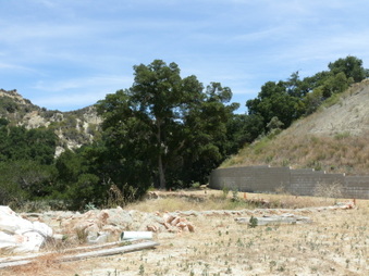 Enlarge photo 17