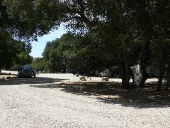 Enlarge photo 28