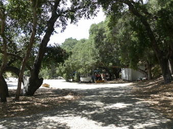 Enlarge photo 29