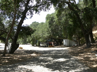 Enlarge photo 30