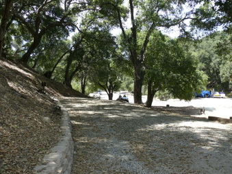 Enlarge photo 38