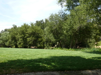 Enlarge photo 2