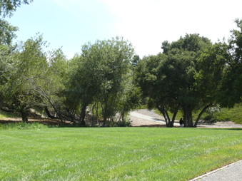 Enlarge photo 10