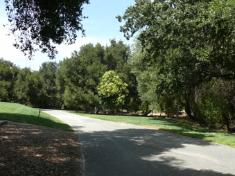 Enlarge photo 12