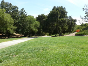 Enlarge photo 18