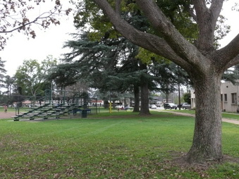 Covina Baseball