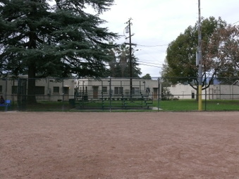 Enlarge photo 16