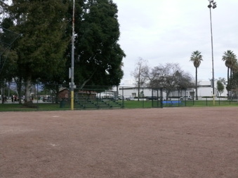 Enlarge photo 24