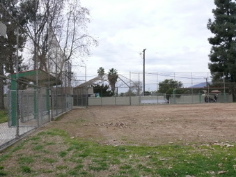 Dalton Park Baseball Field