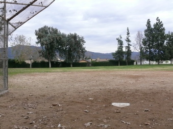 Enlarge photo 7