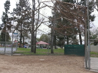 Enlarge photo 13