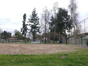 Enlarge photo 15