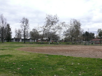 Enlarge photo 17
