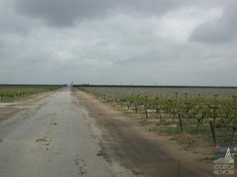Enlarge photo 23