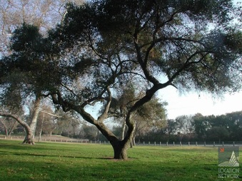 Enlarge photo 30