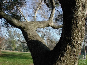 Enlarge photo 31