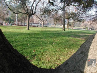 Enlarge photo 32