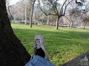 Enlarge photo 33