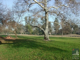 Enlarge photo 34